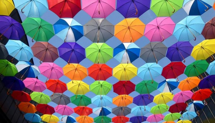 Multicolored umbrellas